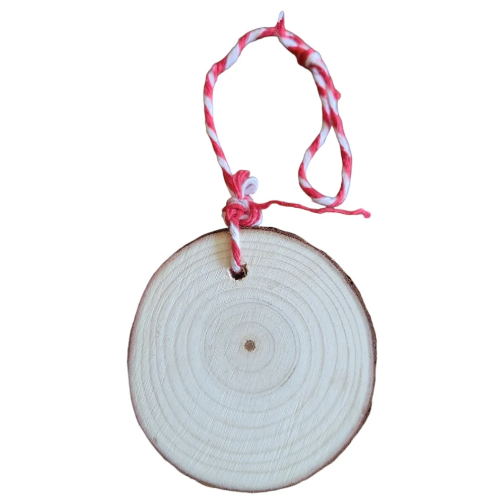 Anna's Creations Hand Crafted Painted Wood  Hanging Ornament Winter Holly